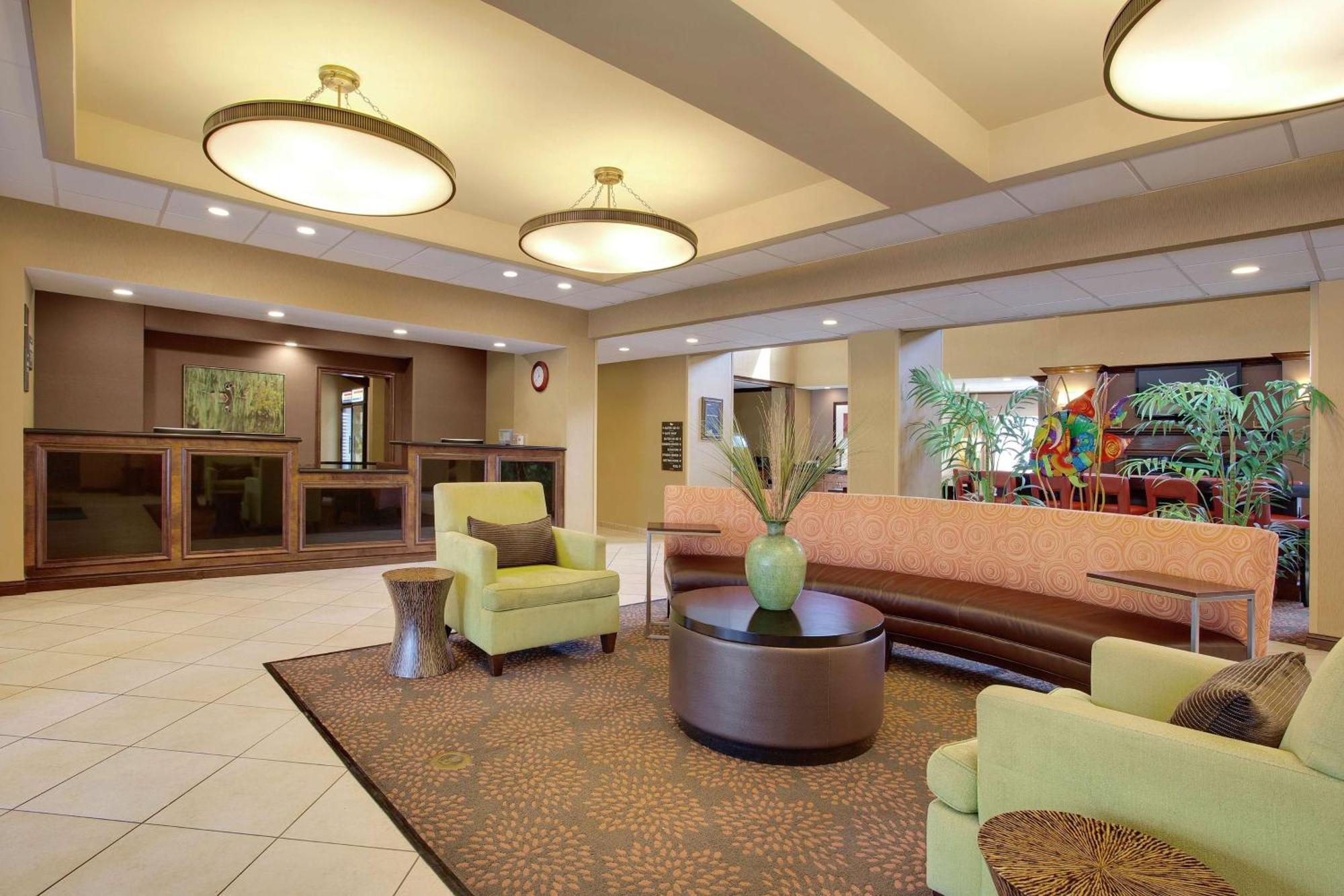 Hotel Homewood By Hilton Tampa-brandon Heartland