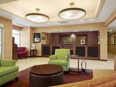 Hotel Homewood By Hilton Tampa-brandon