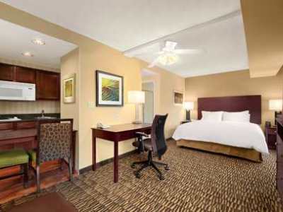 Hotel Homewood By Hilton Tampa-brandon 3*