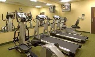 Homewood By Hilton Tampa-brandon 3* Heartland